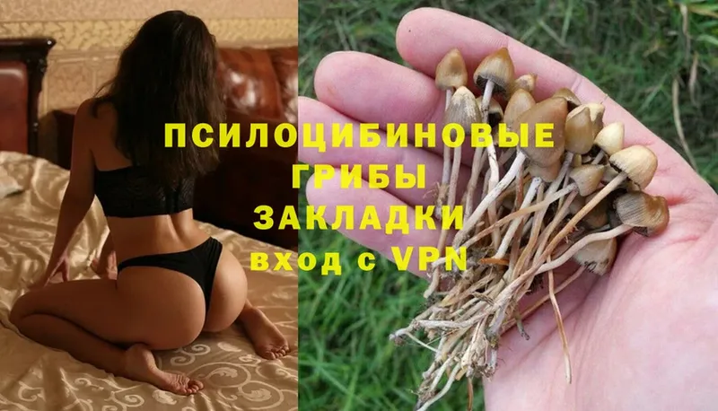 omg зеркало  Острогожск  Псилоцибиновые грибы MAGIC MUSHROOMS 